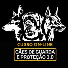logo-novo-cgp