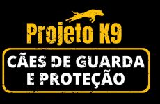 logo_projetoK9